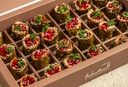 VINE LEAVES ROLLS